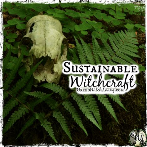 Organic Tools for the Craft: Utilizing Natural Resources in Witchcraft